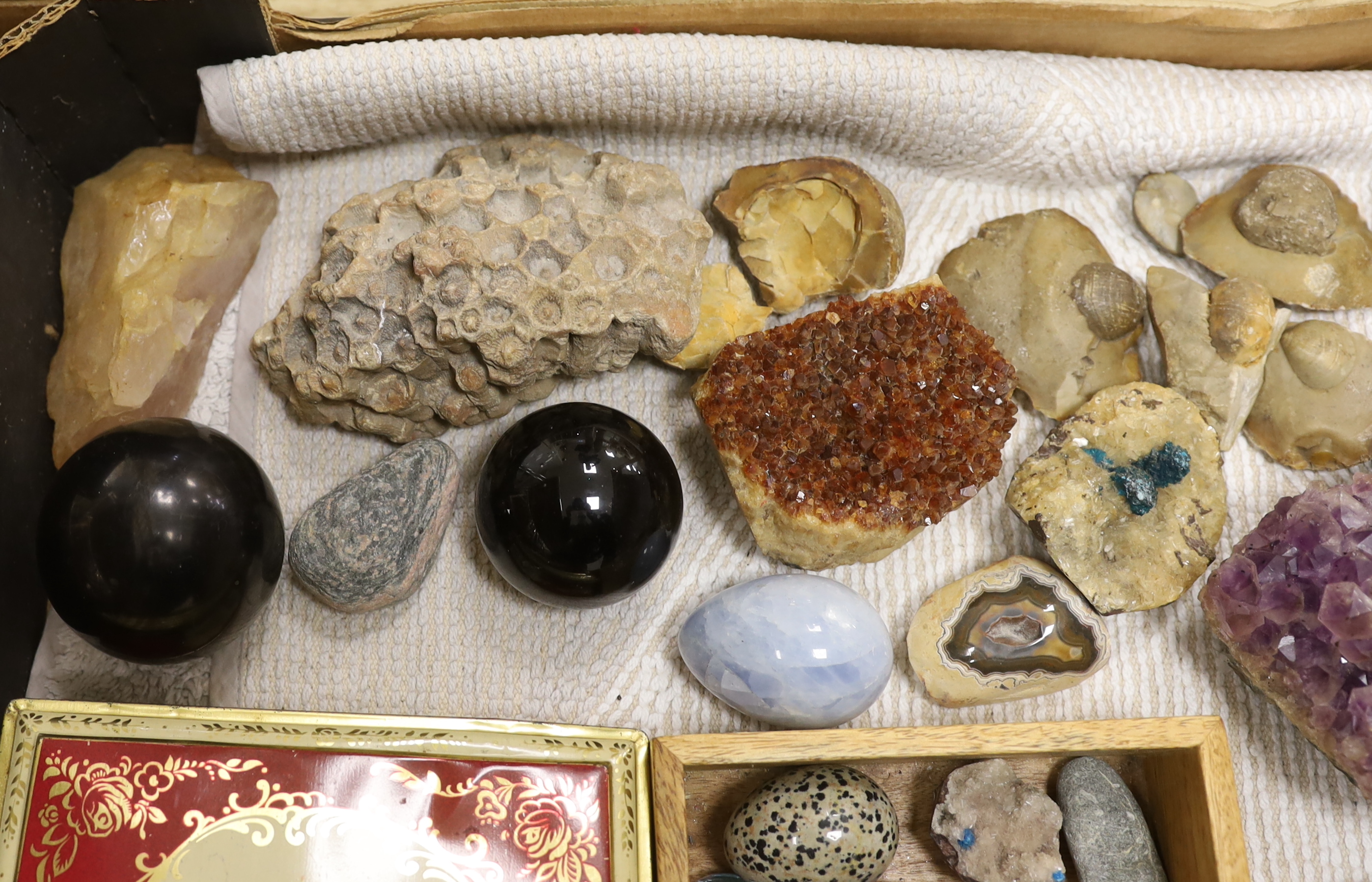 A collection of minerals, gemstones and fossils including quartz samples, ammonites, etc.